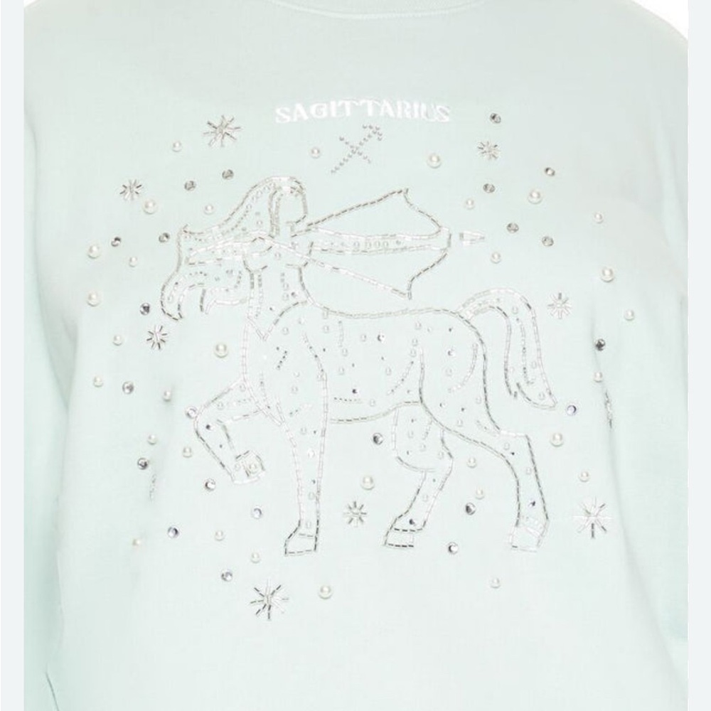 Forever 21 Beaded Sagittarius Pullover Mint Green